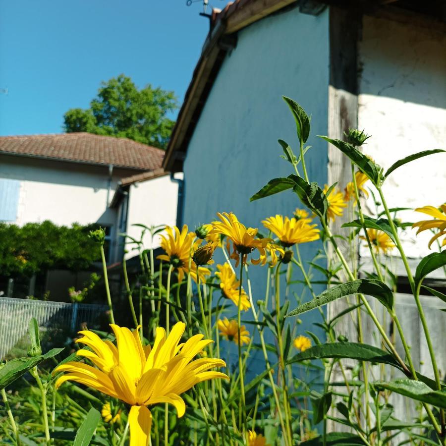 Chambres D'Hotes Villa Lortin Pouillon Eksteriør billede